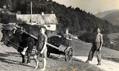 Mistfahren am Leitenlehen